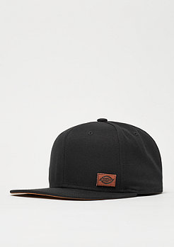 Dickies Minnesota black 