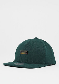 Mitchell & Ness Lincoln forest 