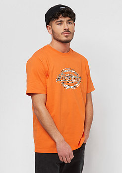 Dickies One Colour energy orange 