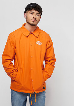 Dickies Summerfield energy orange 