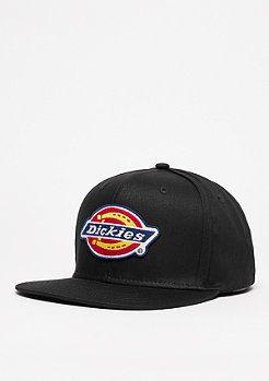 Dickies Muldoon black 