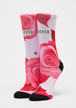 Stance Foundation Dedication Tomboy pink 