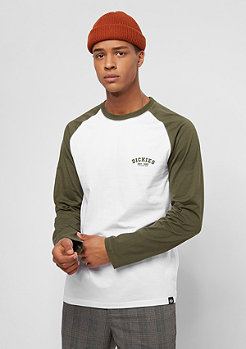 Dickies Basketball dark olive 