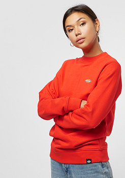 Dickies Seabrook orange 