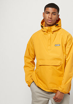 Dickies Axton dijon 