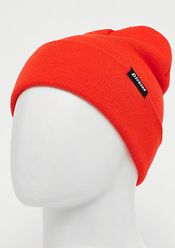 Dickies Alaska orange 