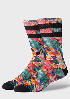 Stance Foundation Pau red 