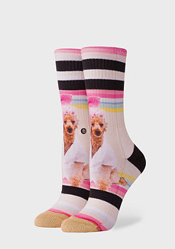Stance Foundation Call Me BEV pink 