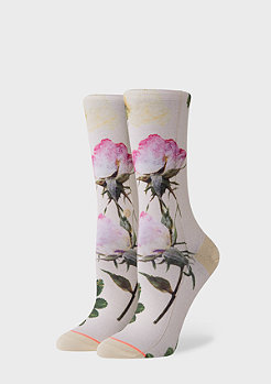 Stance Foundation Pressed Not Stressed off white 