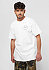 Wheeler II STND white