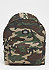Owensburg camouflage