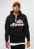 Gottero anthracite