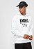 All Star white